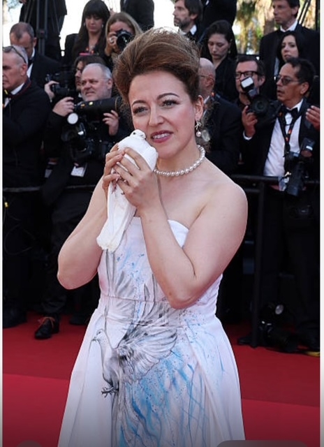 Union Nations Federation Union Nations Federation